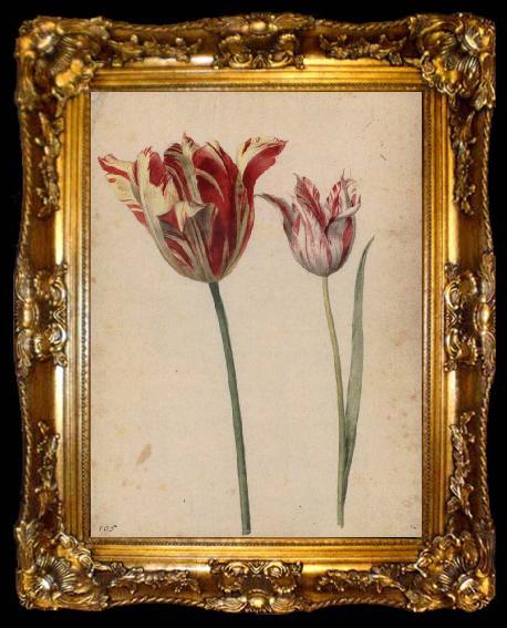 framed  Georg Flegel Two Tulips, ta009-2
